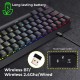 Zebronics Zeb Max Ninja 60% Wireless Black - Blue switch 